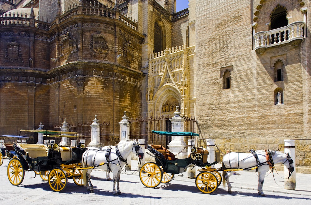 Paseo en coche de caballos - Sevilla