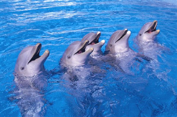 Marineland Mallorca