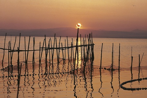 Paseos en barca - La Albufera de Valencia