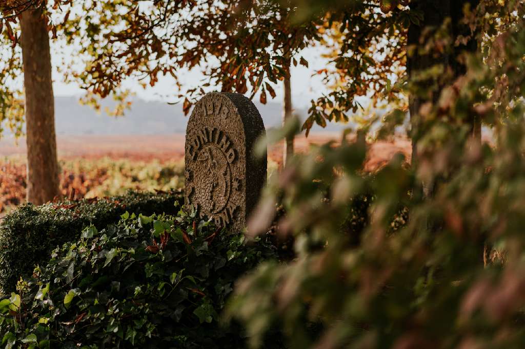 Bodega viñedos del Contino - Álava