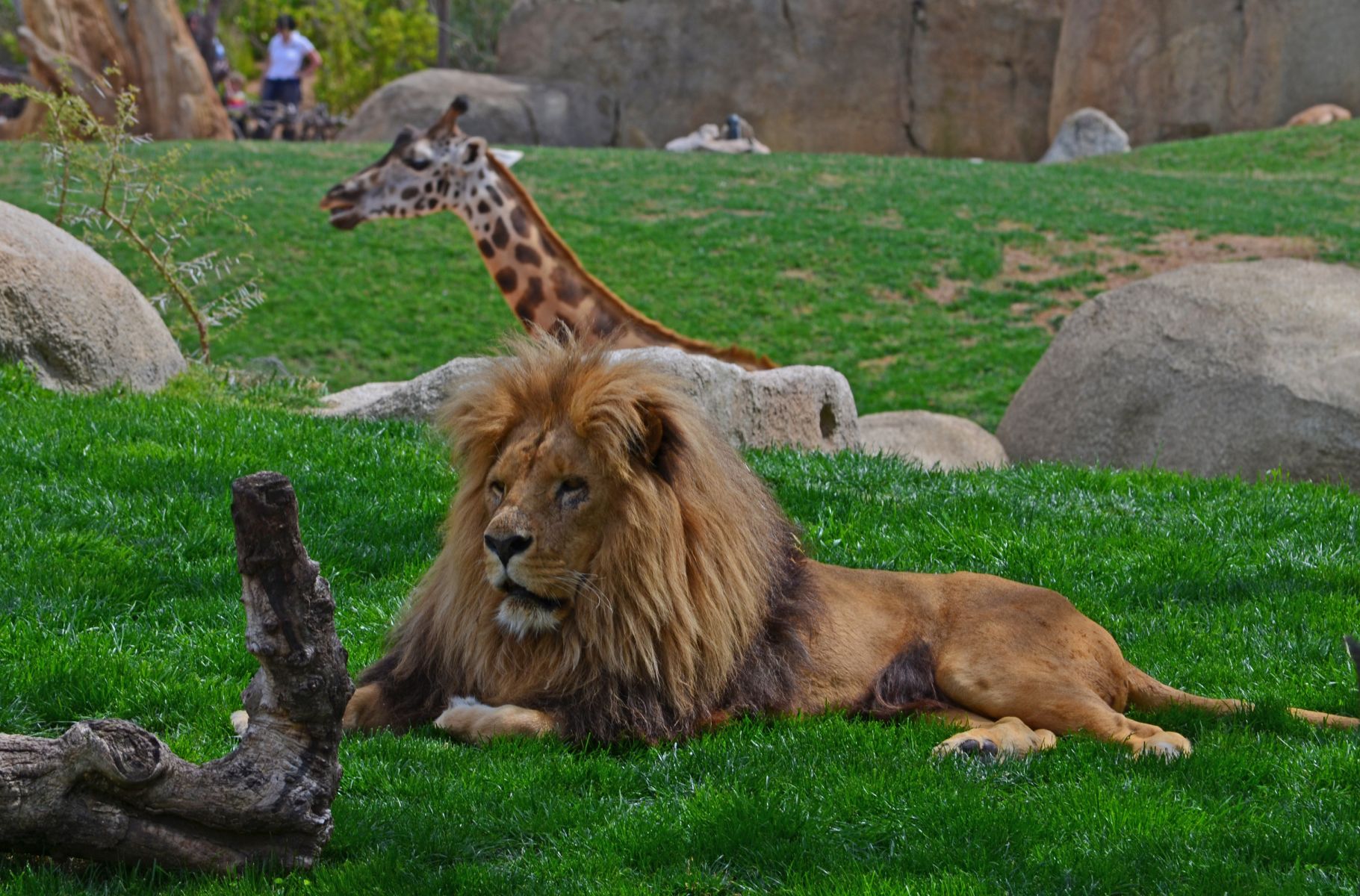 BIOPARC